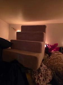 Pet Stairs