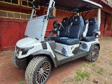 2027 D-Max 4 seater Lithium Electric Golf cart In Mineral White