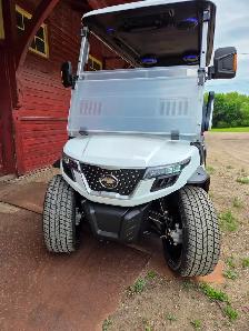 2027 D-Max 4 seater Lithium Electric Golf cart In Mineral White - Photo 3
