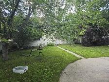 RENTAL OPEN HOUSE TODAY - FRIDAY FROM 5 TO 8 PM - Photo 6