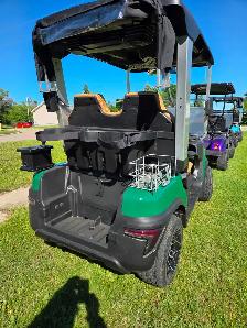 2026 Tara Lithium Electric Golf Cart in Rider Green - Photo 3