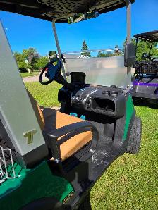 2026 Tara Lithium Electric Golf Cart in Rider Green - Photo 5