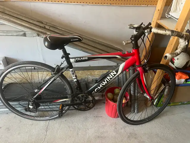 triathlon bike schwinn