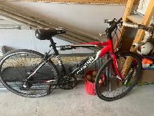triathlon bike schwinn
