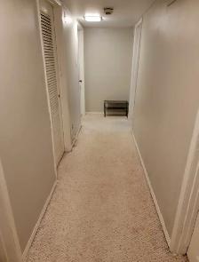Furnished room by U of M by bus stop for Male Student - Photo 5