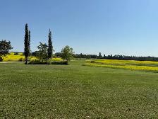 10 Acres 25 Minutes From Edmonton With 2 Houses - Photo 7