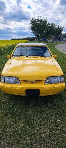 1993 Ford Mustang 5.0L 1 of 215 Made - Photo 2