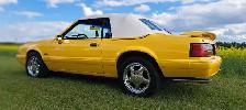 1993 Ford Mustang 5.0L 1 of 215 Made - Photo 3