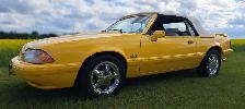 1993 Ford Mustang 5.0L 1 of 215 Made - Photo 4