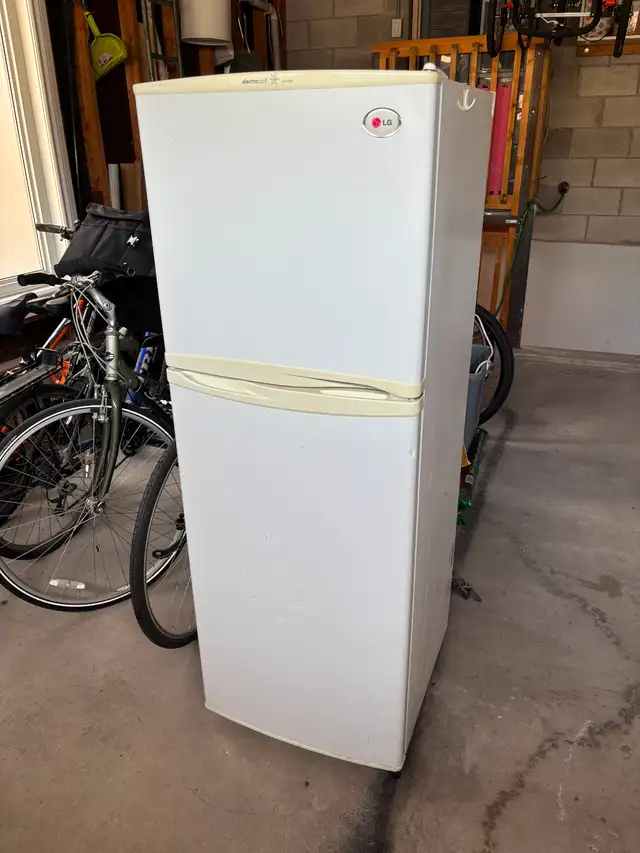 Free Small Fridge - Perfect for Bsmnt or Student