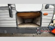 2020 Dutchmen RV Coleman Lantern Series 263BH - Photo 8