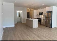 2-bedrooms-Available Now - Photo 2
