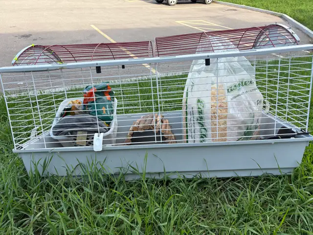 Rabbit cage