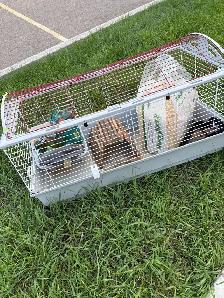 Rabbit cage - Photo 4