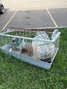 Rabbit cage - Photo 5