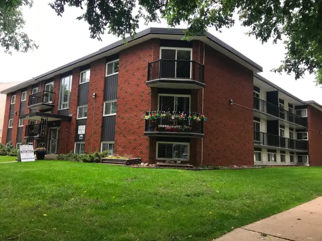 Fully renovated cat friendly 1 Bedroom suite for rent