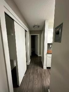 Fully renovated cat friendly 1 Bedroom suite for rent - Photo 2
