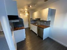Fully renovated cat friendly 1 Bedroom suite for rent - Photo 3