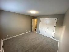 Fully renovated cat friendly 1 Bedroom suite for rent - Photo 5