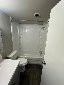 Fully renovated cat friendly 1 Bedroom suite for rent - Photo 9
