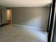 Fully renovated cat friendly 1 Bedroom suite for rent - Photo 10