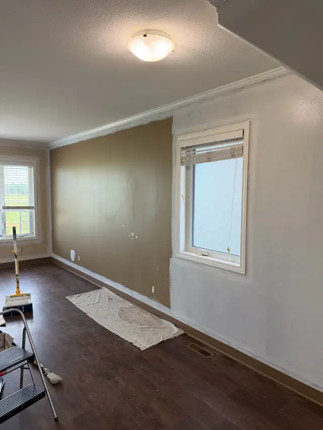 professional painter