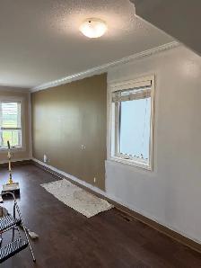 professional painter