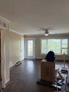 professional painter - Photo 2