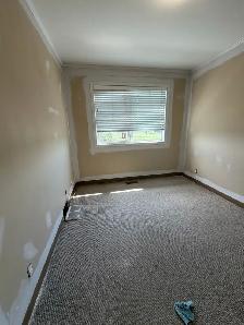 professional painter - Photo 5