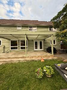 professional painter - Photo 6