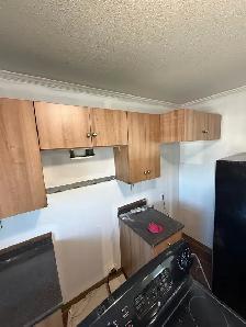 professional painter - Photo 10