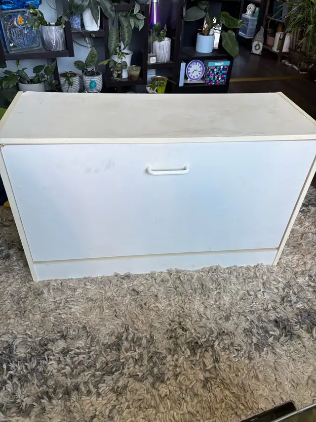 Shoe cabinet
