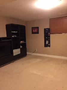 A basement suite at Pitt Meadows available for rent - Photo 3