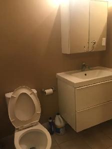 A basement suite at Pitt Meadows available for rent - Photo 4