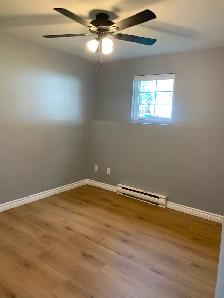 House for Rent - Photo 8