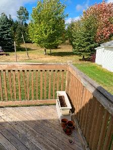 House for Rent - Photo 12