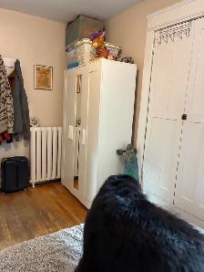 Very nice 1-bedroom -Small Balcony- Available September 1st! - Photo 6