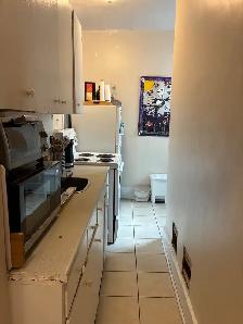Very nice 1-bedroom -Small Balcony- Available September 1st! - Photo 7