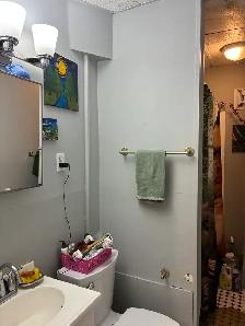 Very nice 1-bedroom -Small Balcony- Available September 1st! - Photo 9