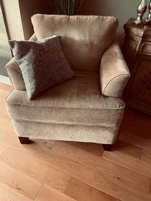 2  Lazyboy Chairs  100 dollars each