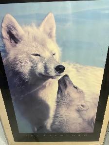 Large wolf picture - Photo 2