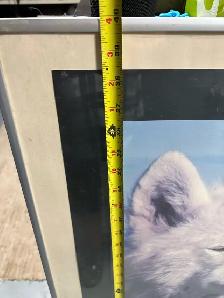 Large wolf picture - Photo 4