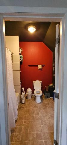 main floor room for rent 600 - Photo 9