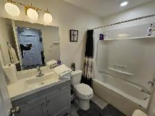 1 bedroom basement for rent - Photo 2