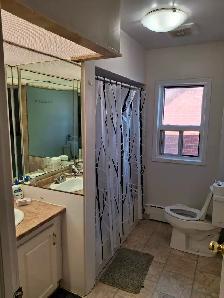 Furnished Room for Rent,  Etobicoke, $750, All inclusive - Photo 5