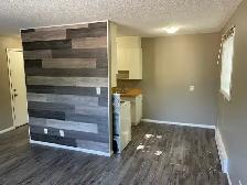 506 Balmoral - 1 BR available Sept 1st - Photo 2
