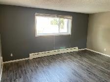 506 Balmoral - 1 BR available Sept 1st - Photo 5