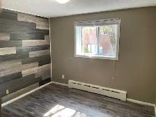506 Balmoral - 1 BR available Sept 1st - Photo 9