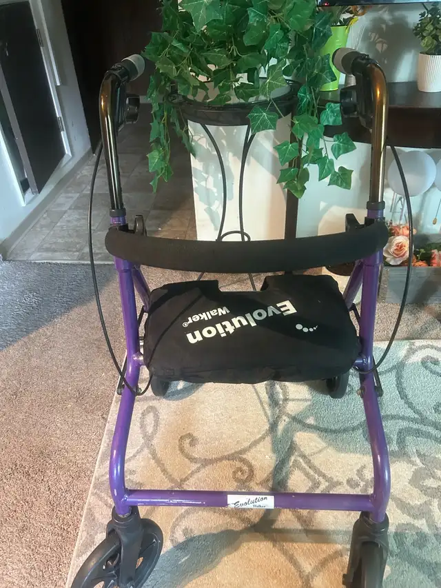 The Evolution Challenger walker