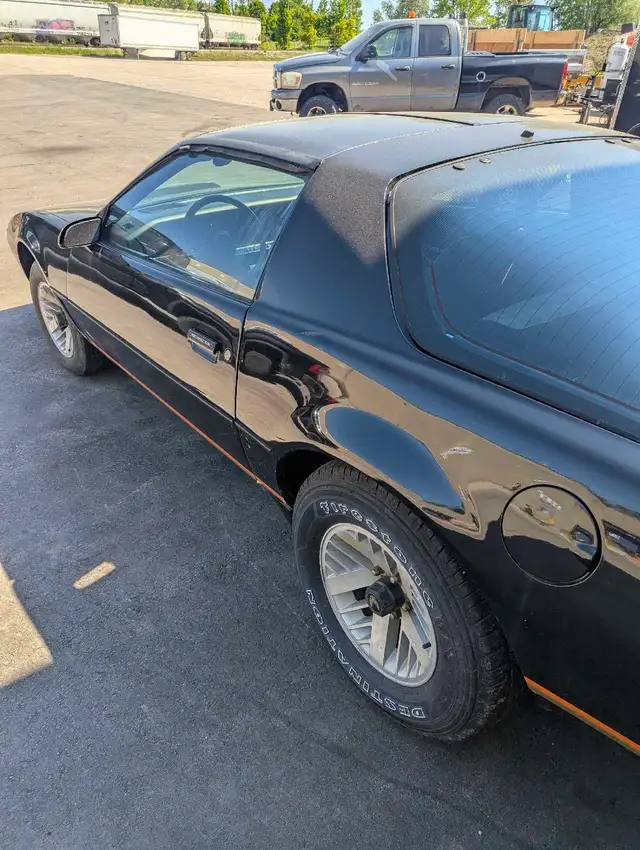 1982 Recaro Hurst 4spd Trans Am